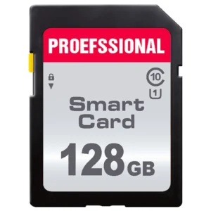 Carte mémoire professionnelle 64 go 128 go 256 go SDV10XC carte SD 16 go 32 go carte SDV10HC haute vitesse 600x pour appareil photo Nikon Canon