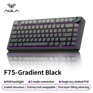 AULA F75 clavier mécanique de jeu rvb personnalisé 75% disposition joint de gravure latérale monté 80 touches PBT dégradé Keycaps clavier