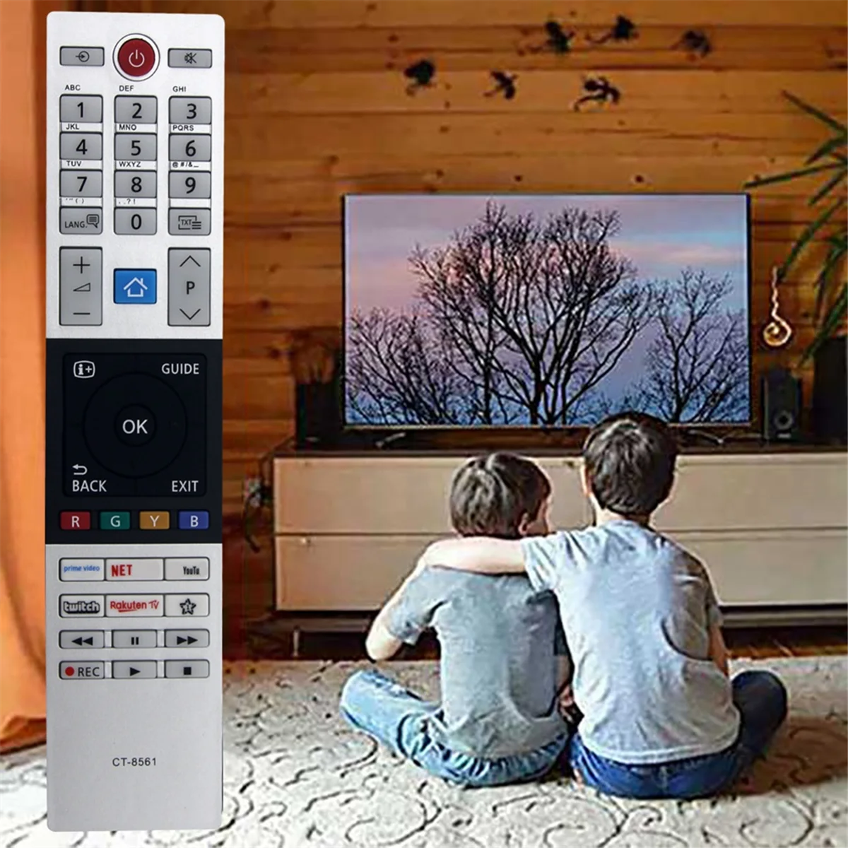 Télécommande de remplacement CT-8561 pour télécommande TV LED intelligente TOWinterBA – Image 6