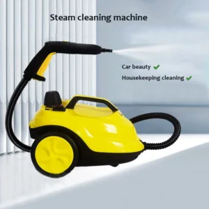 Nettoyeur à vapeur portatif 110V/220V, Machine de nettoyage, stérilisation, désinfection, essuie-glace puissant pour sol et cuisine